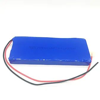 Li Ion Battery